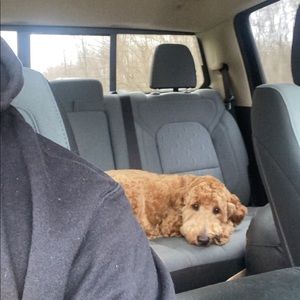 Meet your Posher, Anthony